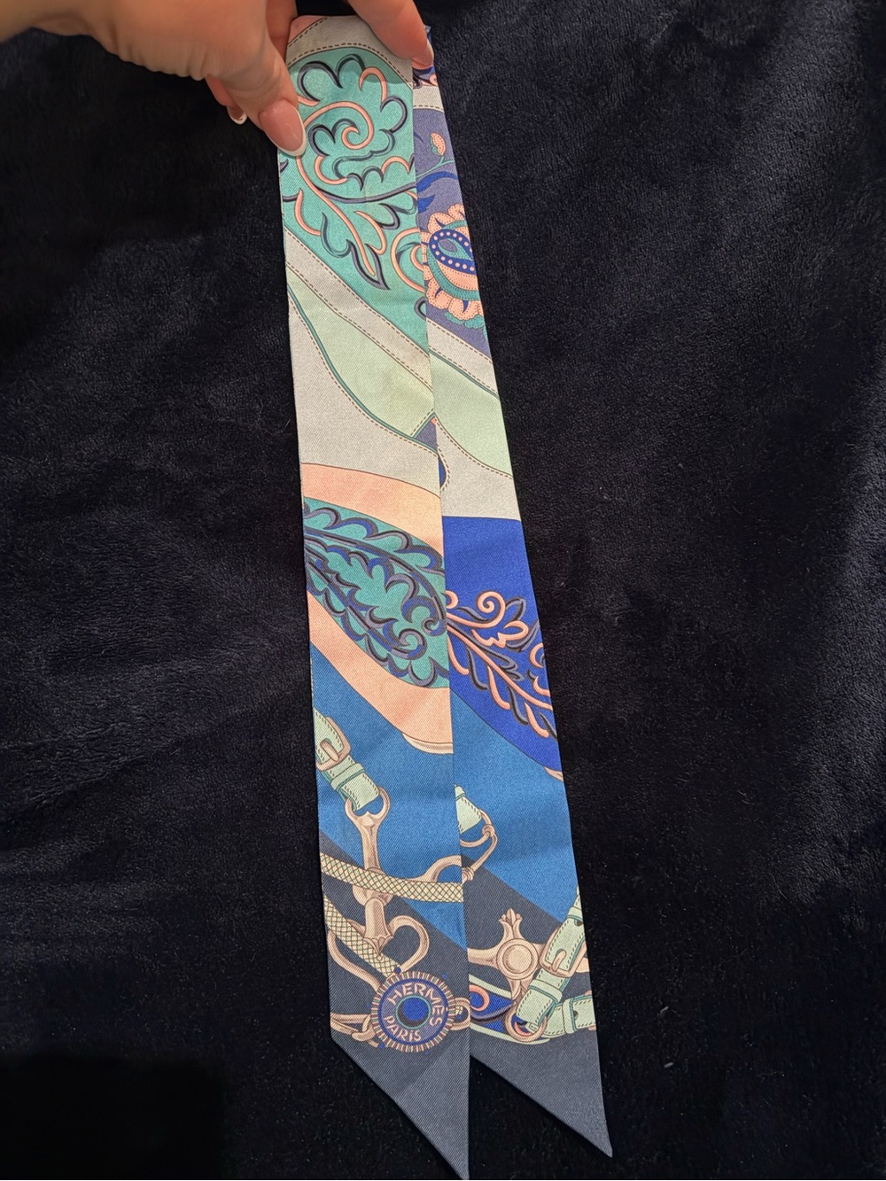 Hermès Silk Twilly